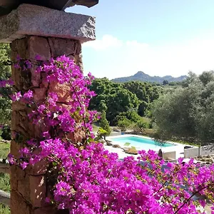 Desole Alloggio per agriturismo Monti